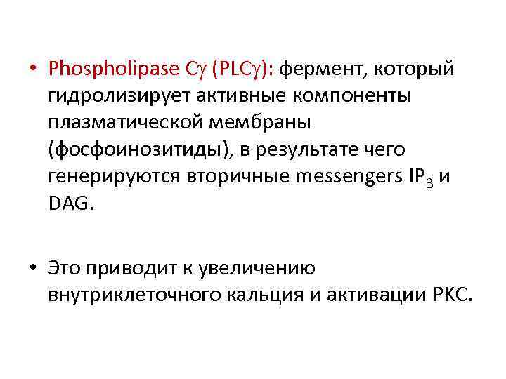  • Phospholipase Cg (PLCg): фермент, который гидролизирует активные компоненты плазматической мембраны (фосфоинозитиды), в