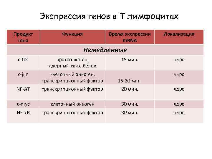 Экспрессия генов в Т лимфоцитах Продукт гена Функция Время экспрессии m. RNA Локализация Немедленные