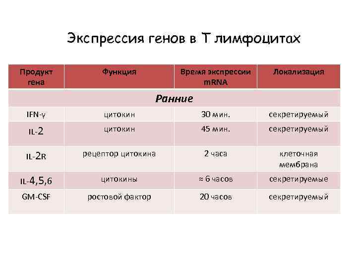 Экспрессия генов в Т лимфоцитах Продукт гена Функция Время экспрессии m. RNA Локализация Ранние