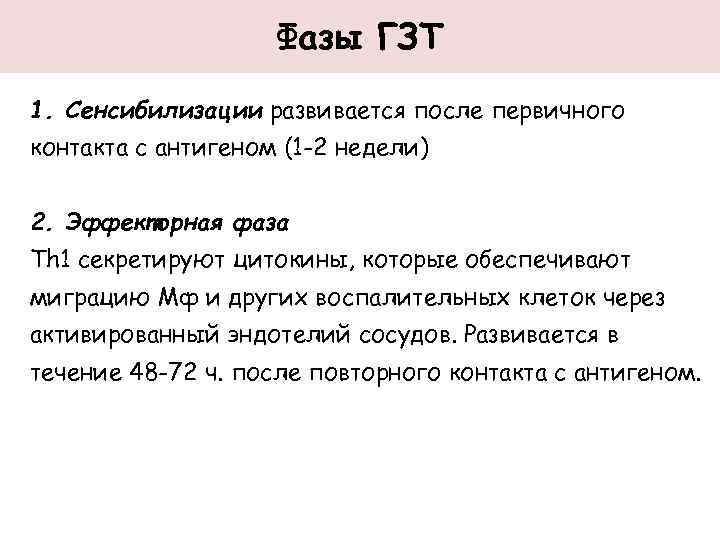 Фазы ГЗТ 1. Сенсибилизации развивается после первичного контакта с антигеном (1 -2 недели) 2.