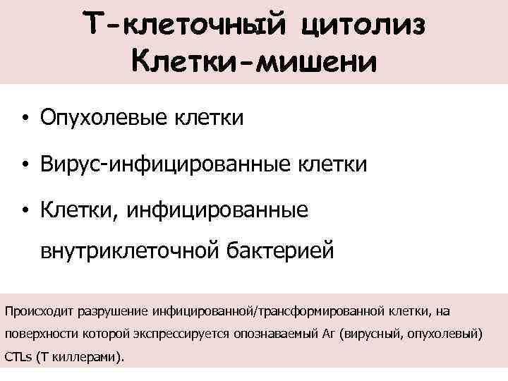 Т-клеточный цитолиз Клетки-мишени • Опухолевые клетки • Вирус-инфицированные клетки • Клетки, инфицированные внутриклеточной бактерией