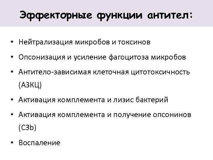 Эффекторные функции антител: • Нейтрализация микробов и токсинов • Опсонизация и усиление фагоцитоза микробов