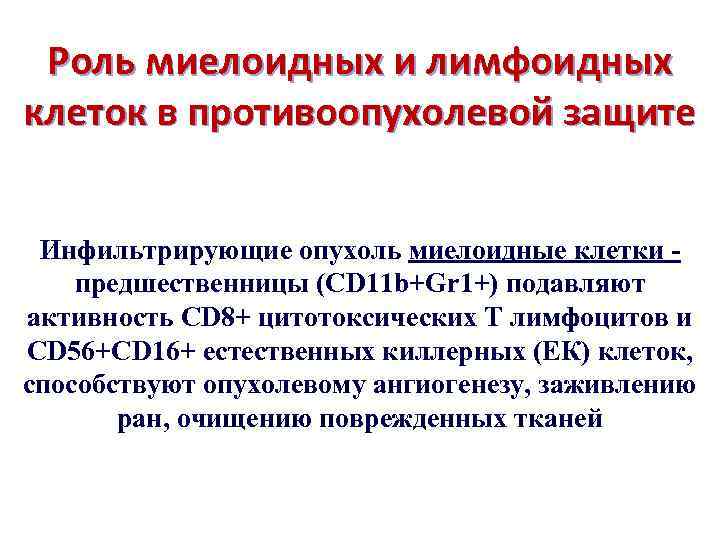 Роль миелоидных и лимфоидных клеток в противоопухолевой защите Инфильтрирующие опухоль миелоидные клетки предшественницы (CD
