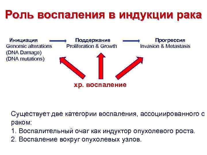 Роль воспаления в индукции рака “ Инициация Genomic alterations (DNA Damage) (DNA mutations) Поддержание