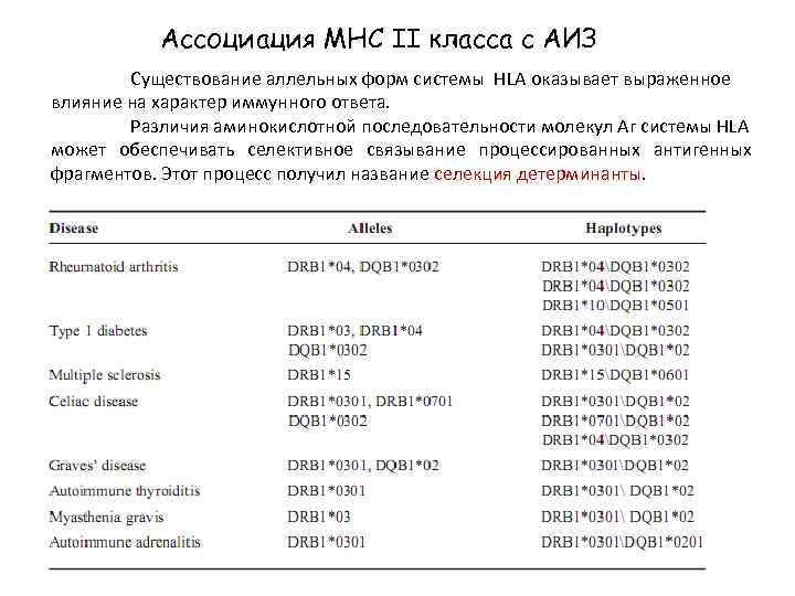 Ассоциация МНС II класса с АИЗ Существование аллельных форм системы HLA оказывает выраженное влияние