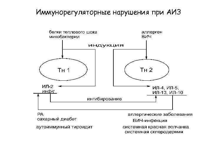 Иммунорегуляторные нарушения при АИЗ 