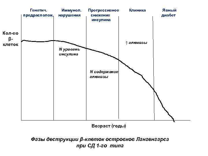 Генетич. предрасполож. Кол-во βклеток Иммунол. нарушения Прогрессивное снижение инсулина Клиника Явный диабет ↑ глюкозы