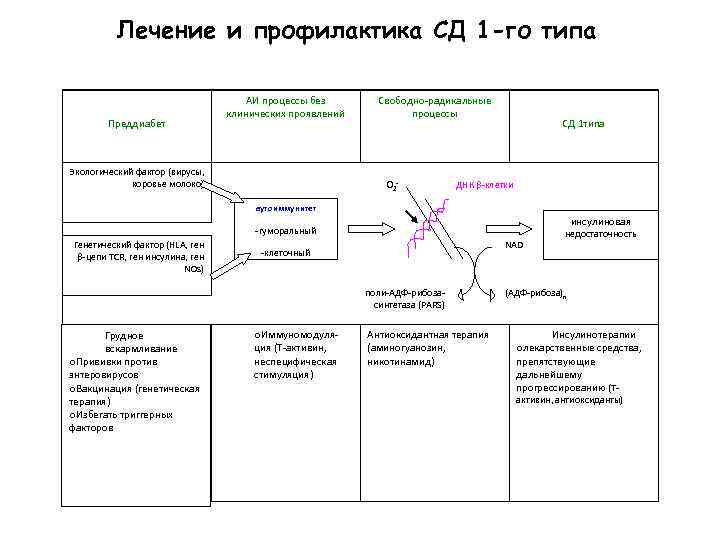 Лечение и профилактика СД 1 -го типа Преддиабет АИ процессы без клинических проявлений Экологический