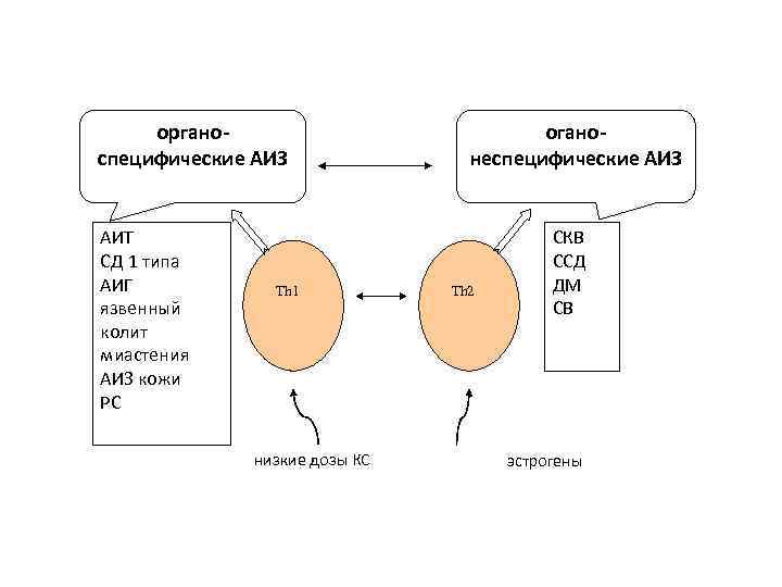 органоспецифические АИЗ АИТ СД 1 типа АИГ язвенный колит миастения АИЗ кожи РС Th