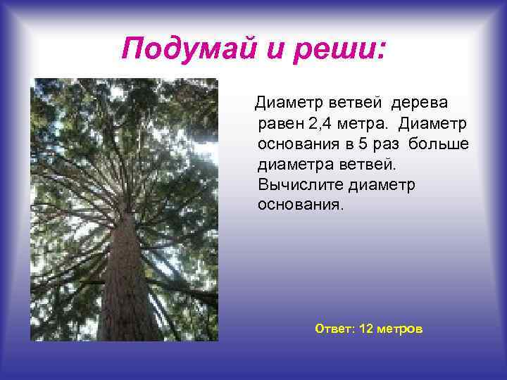 Сделайте картинку иллюстрирующую ситуацию описанную в рассказе и ответьте чему равна высота дерева