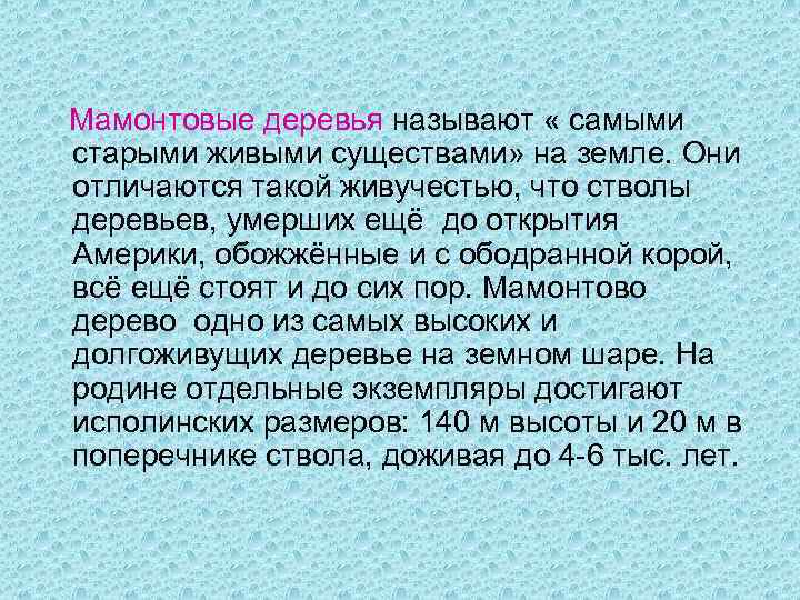 Мамонтовые деревья называют « самыми старыми живыми существами» на земле. Они отличаются такой живучестью,