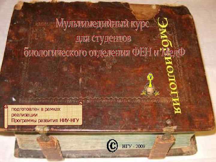 подготовлен в рамках реализации Программы развития НИУ-НГУ - 2009 