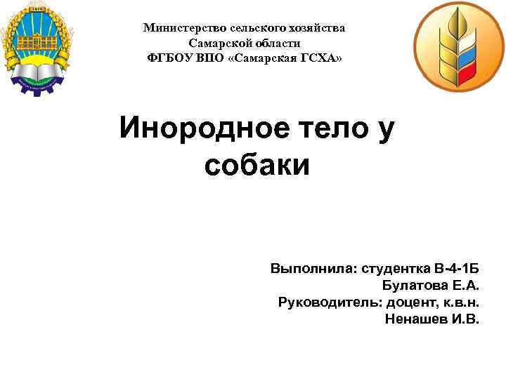 Министерство сельского хозяйства Самарской области ФГБОУ ВПО «Самарская ГСХА» Инородное тело у собаки Выполнила: