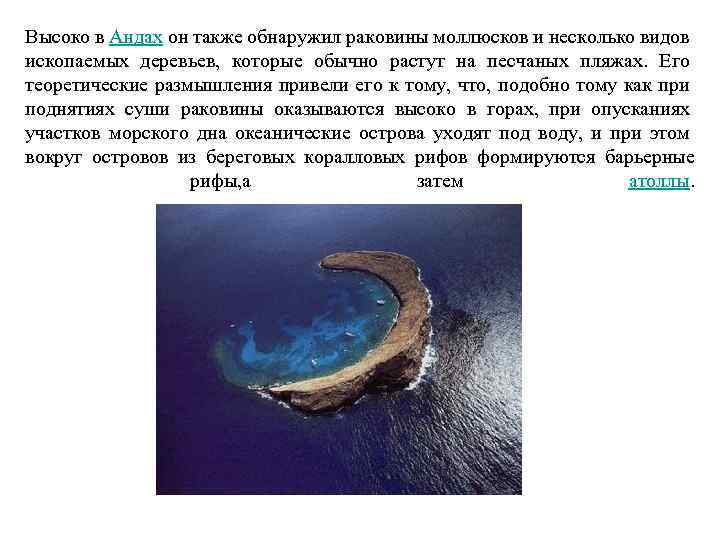 Высоко в Андах он также обнаружил раковины моллюсков и несколько видов ископаемых деревьев, которые