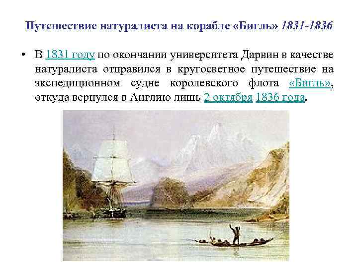 Путешествие натуралиста на корабле «Бигль» 1831 -1836 • В 1831 году по окончании университета