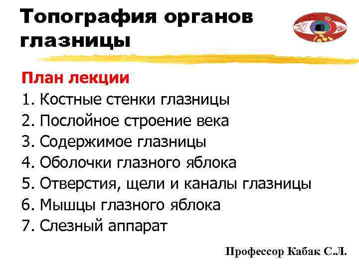 Топография органов глазницы План лекции 1. Костные стенки глазницы 2. Послойное строение века 3.