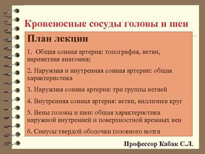 Кровеносные сосуды головы и шеи План лекции 1. Общая сонная артерия: топография, ветви, вариантная