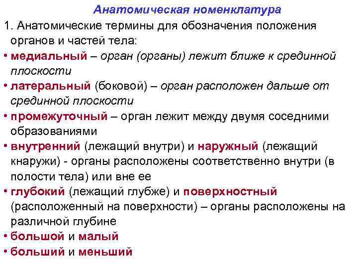 Анатомическая номенклатура 1. Анатомические термины для обозначения положения органов и частей тела: • медиальный