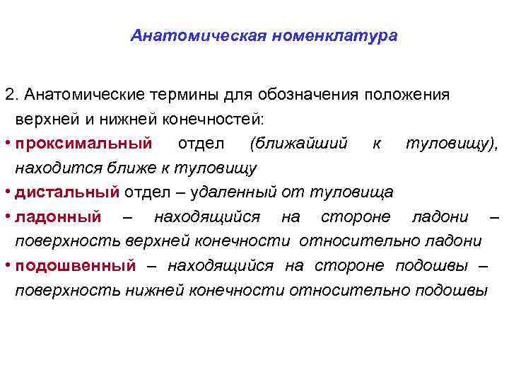 Анатомическая номенклатура 2. Анатомические термины для обозначения положения верхней и нижней конечностей: • проксимальный