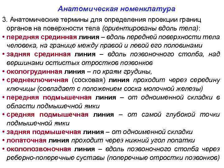 Анатомическая номенклатура 3. Анатомические термины для определения проекции границ органов на поверхности тела (ориентированы