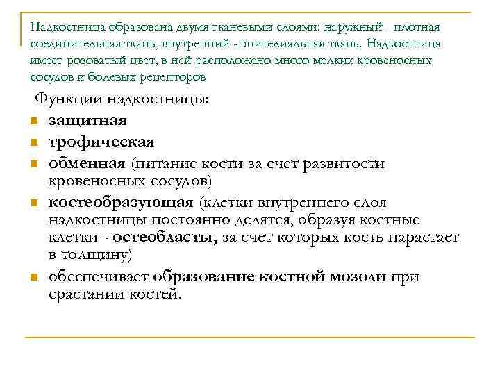 Надкостница образована двумя тканевыми слоями: наружный - плотная соединительная ткань, внутренний - эпителиальная ткань.