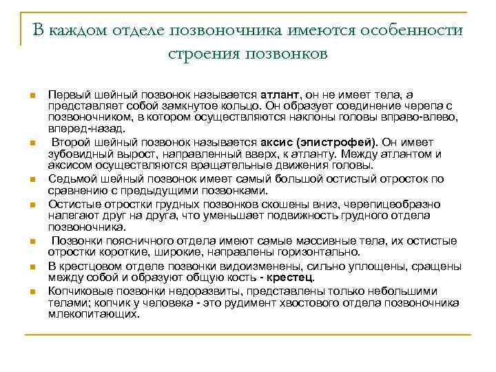 В каждом отделе позвоночника имеются особенности строения позвонков n n n n Первый шейный