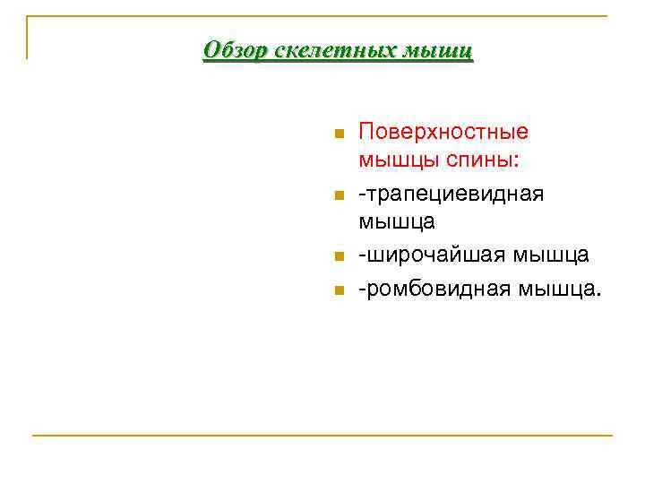 Обзор скелетных мышц n n Поверхностные мышцы спины: трапециевидная мышца широчайшая мышца ромбовидная мышца.