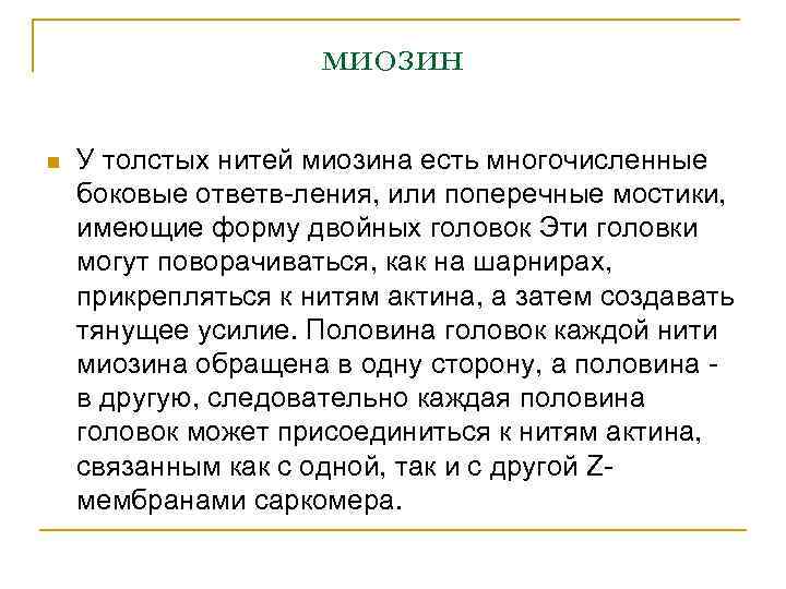 миозин n У толстых нитей миозина есть многочисленные боковые ответв ления, или поперечные мостики,