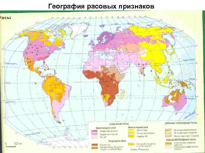 География расовых признаков 