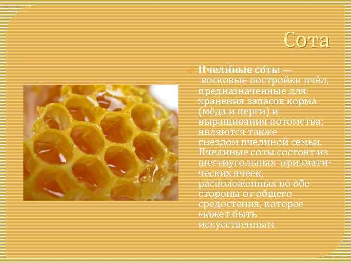 Сота Пчели ные со ты — восковые постройки пчёл, предназначенные для хранения запасов корма