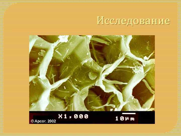 Исследование 