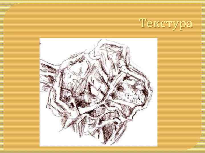Текстура 