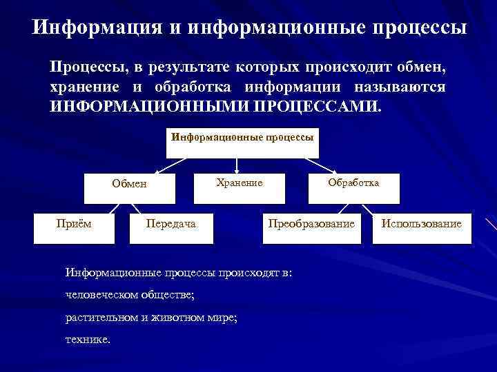 Информационный процесс использования. Основные информационные процессы. Основные информационные процессы кратко. Моделирование информационных процессов. Информационные процессы в системах различной природы.