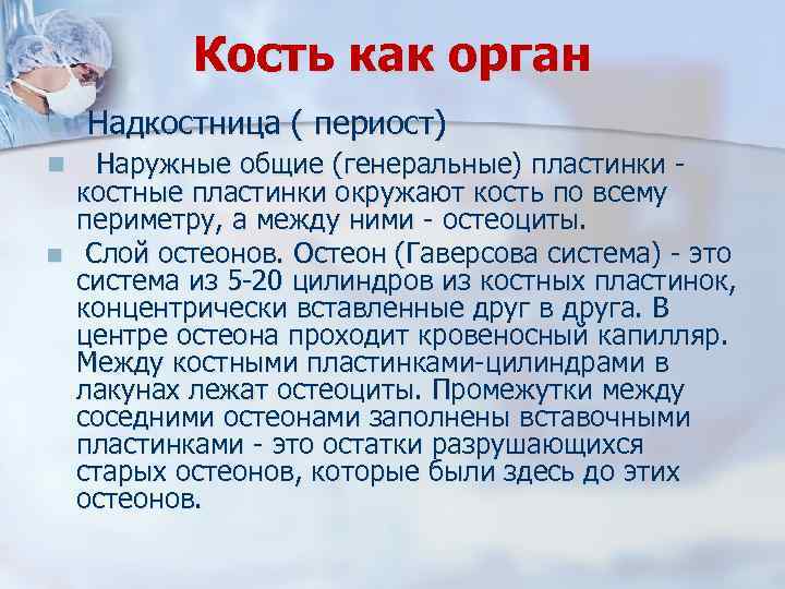 Кость как орган n n n Надкостница ( периост) Наружные общие (генеральные) пластинки костные