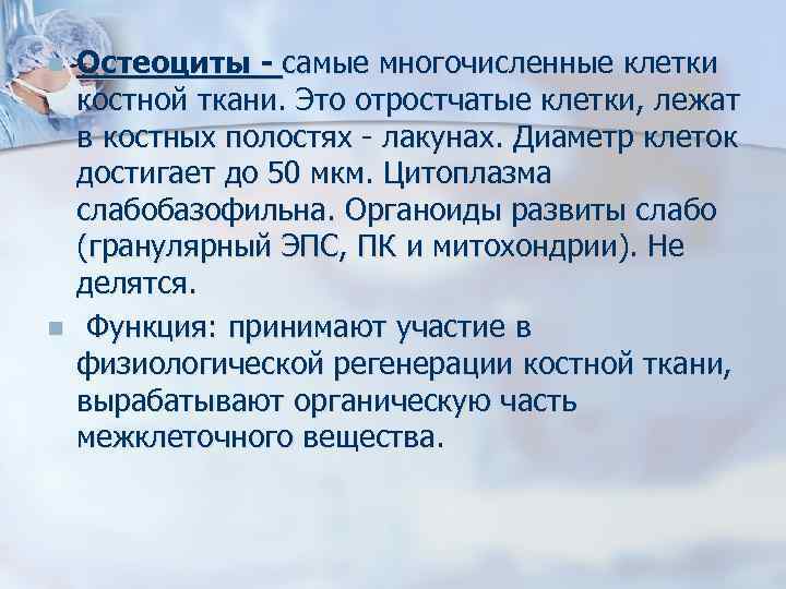 n n Остеоциты - самые многочисленные клетки костной ткани. Это отростчатые клетки, лежат в