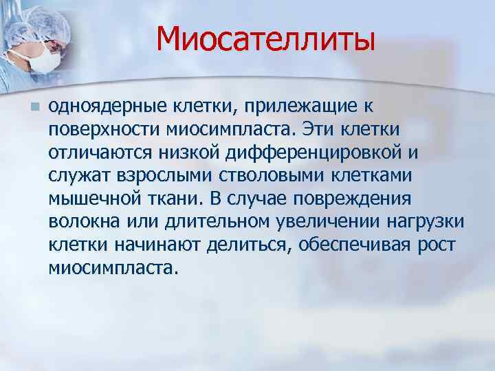 Миосателлиты n одноядерные клетки, прилежащие к поверхности миосимпласта. Эти клетки отличаются низкой дифференцировкой и