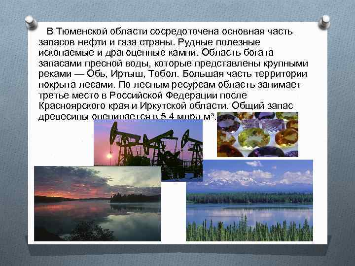 В Тюменской области сосредоточена основная часть запасов нефти и газа страны. Рудные полезные ископаемые