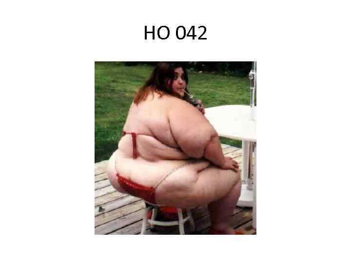 HO 042 