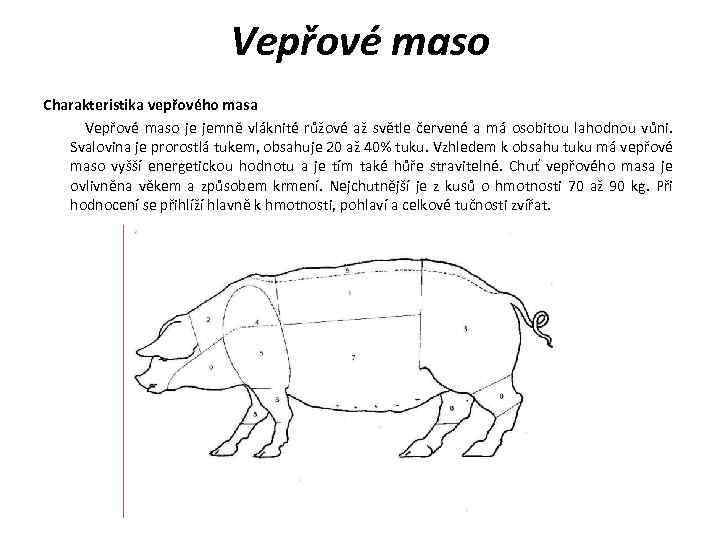 Vepřové maso Charakteristika vepřového masa Vepřové maso je jemně vláknité růžové až světle červené