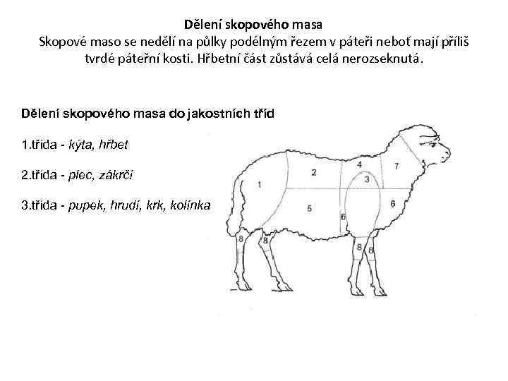 Dělení skopového masa Skopové maso se nedělí na půlky podélným řezem v páteři neboť