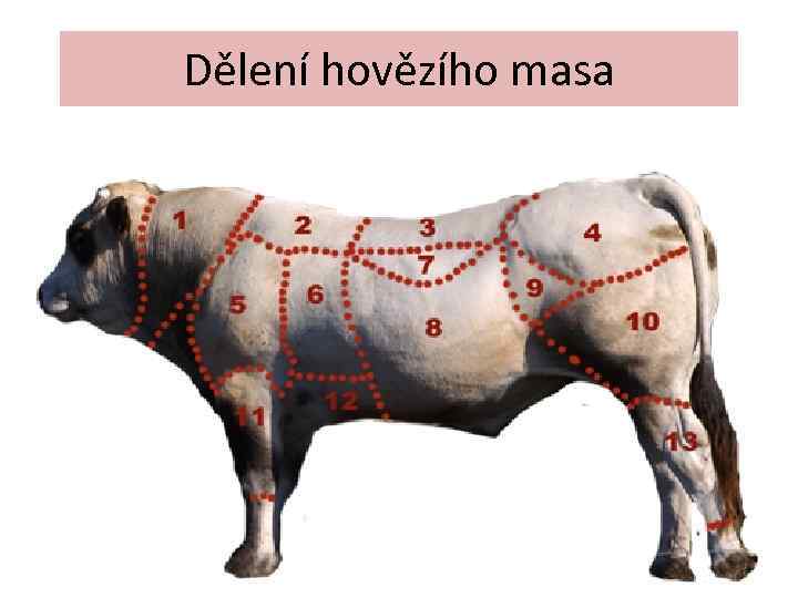 Dělení hovězího masa 