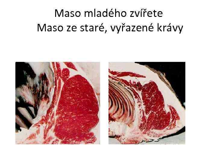 Maso mladého zvířete Maso ze staré, vyřazené krávy 