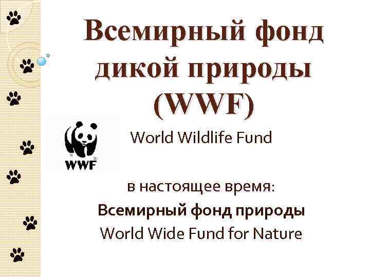 Всемирный фонд дикой природы (WWF) World Wildlife Fund в настоящее время: Всемирный фонд природы