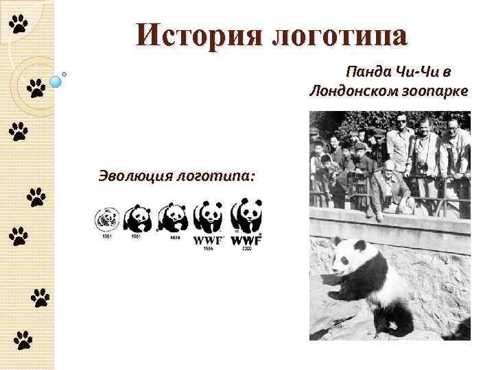 История логотипа Панда Чи-Чи в Лондонском зоопарке Эволюция логотипа: 
