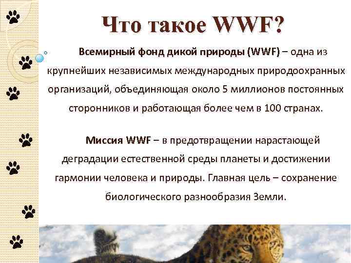 Что такое WWF? Всемирный фонд дикой природы (WWF) – одна из крупнейших независимых международных