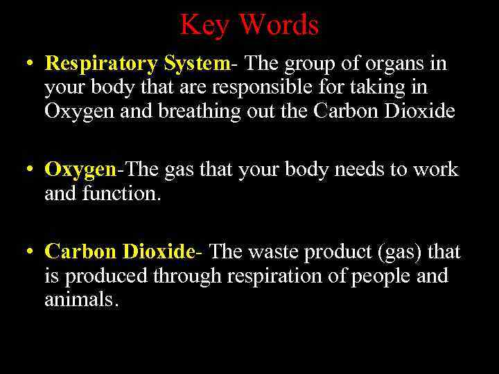 Key Words • Respiratory System- The group of organs in your body that are