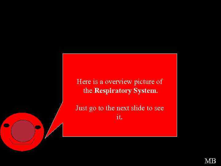 Picture Intro Here is a overview picture of the Respiratory System. Just go to