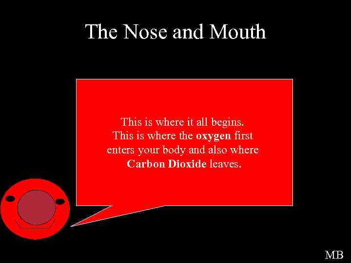 The Nose and Mouth This is where it all begins. This is where the