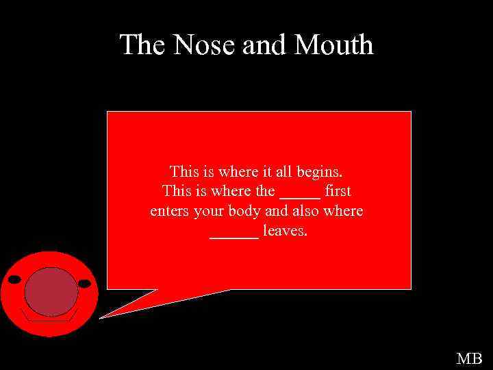 The Nose and Mouth This is where it all begins. This is where the