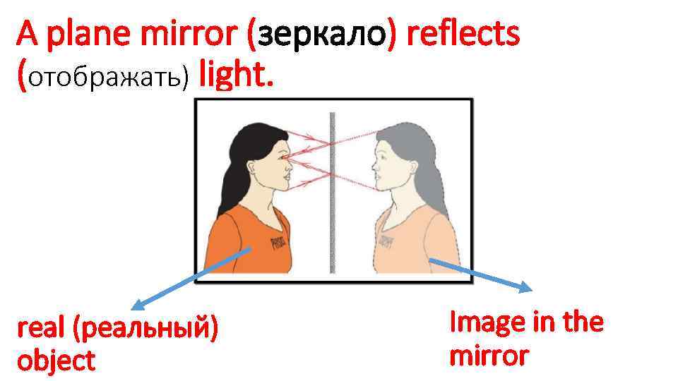 A plane mirror (зеркало) reflects (отображать) light. real (реальный) object Image in the mirror
